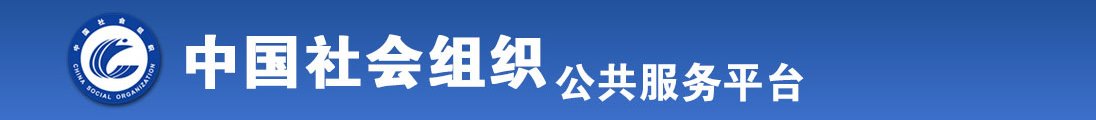 找一下国产操逼逼全国社会组织信息查询